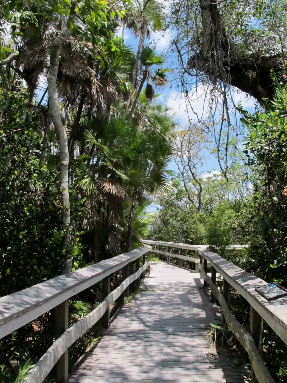 Jungle trail with plenty of mosquitoes.